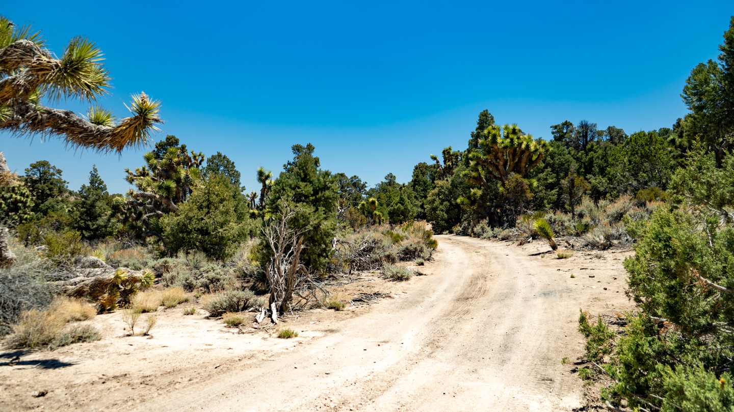 2N02 Burns Canyon California Offroad Trail